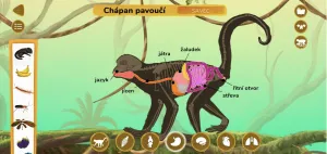 Vzdelávacie dobrodružstvo: Objavujte svet zvierat cez interaktívnu hru Jak zvířata fungují?