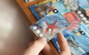 Biodio - Mediterranean Sea (EN)